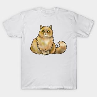 Cat - British Longhair - Marmalade T-Shirt